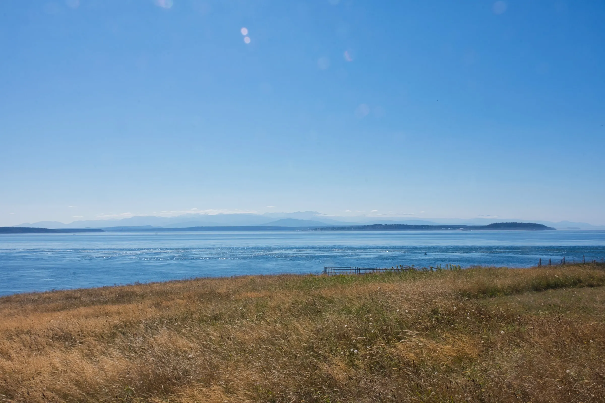 Dry golden grass above the water, with the Olympic Mountains faint on the horizon.