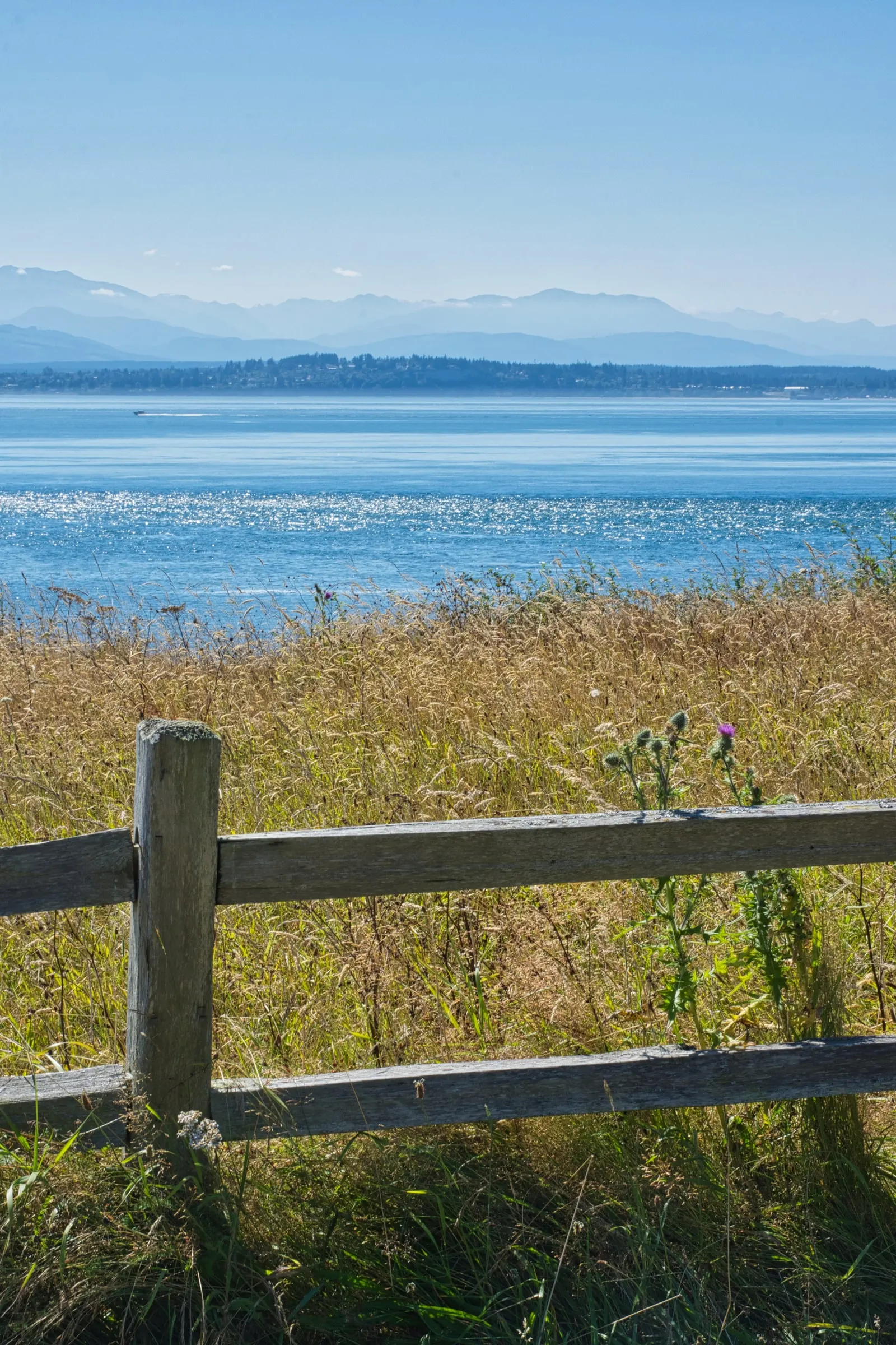 A weathered split-rail fence in tall grass and thistle, the water and mountains beyond.